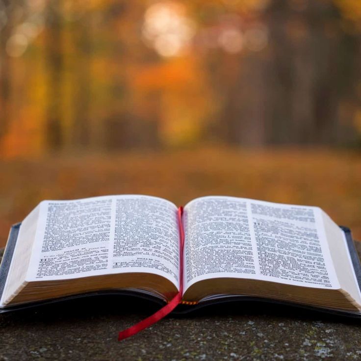 Bible Study Camp